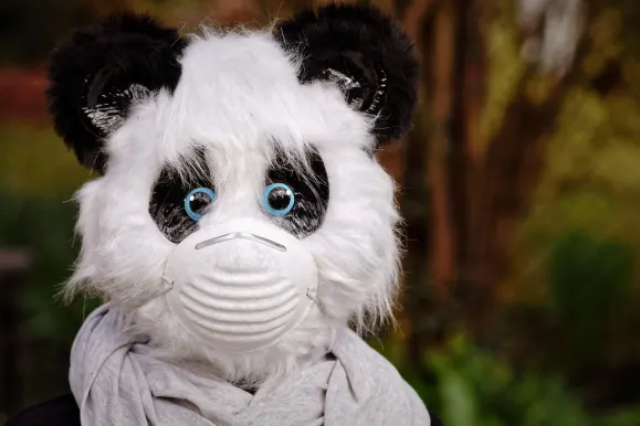 SilverPlay Kasino Podpora